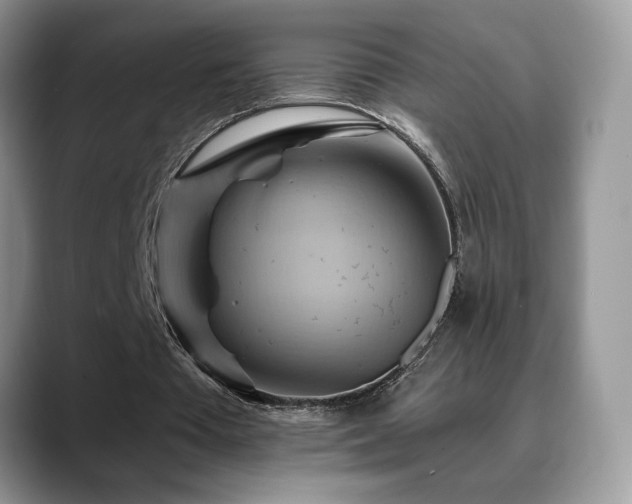 X0000088860385200706081156