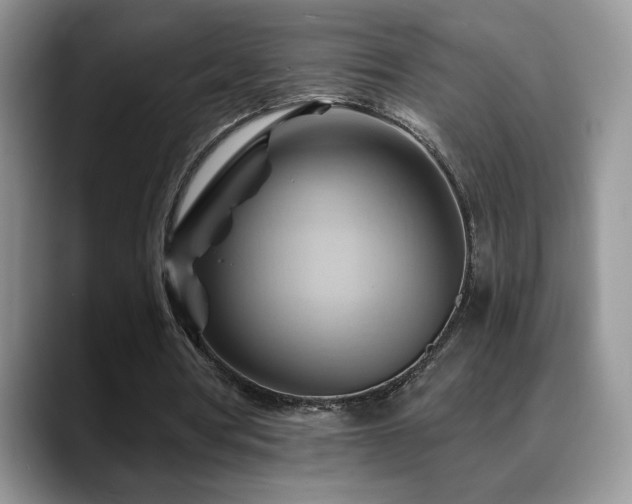 X0000088860386200706081156