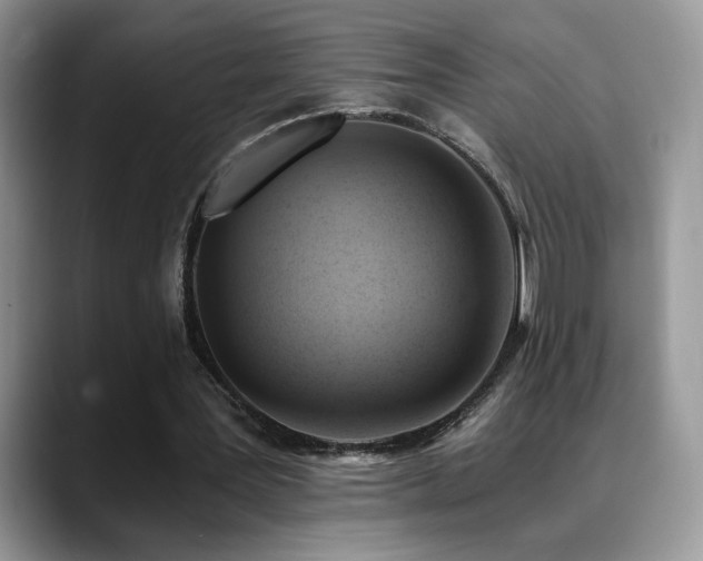 X0000088860387200706081156