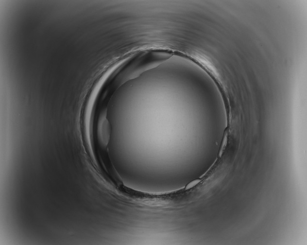 X0000088860389200706081156