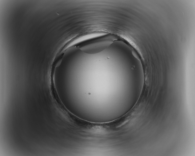 X0000088860390200706081156