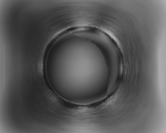 X0000088860391200706081156