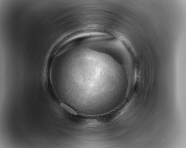 X0000088860392200706081156