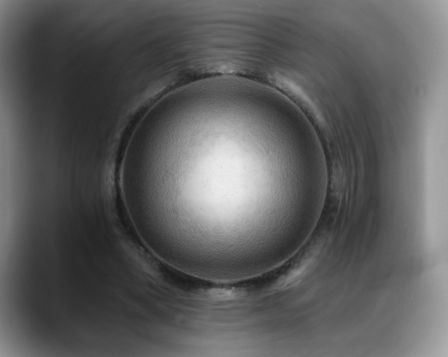 X0000088860394200706081156