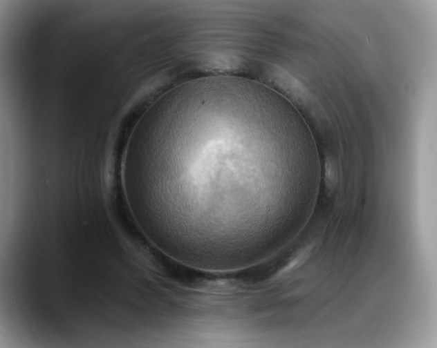 X0000088860396200706081156