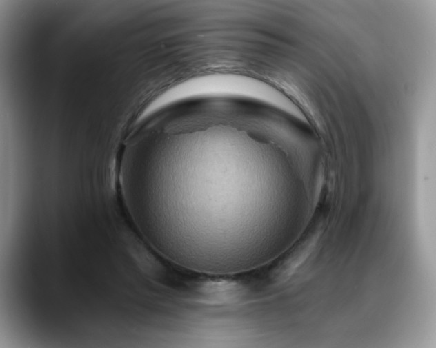 X0000088860397200706081156