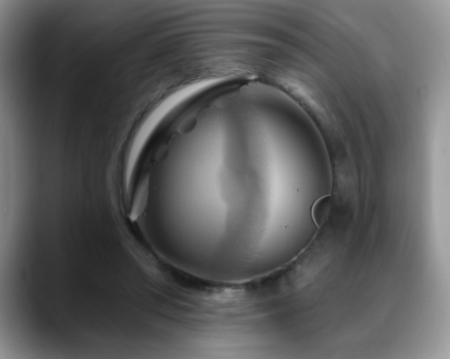 X0000088860398200706081156