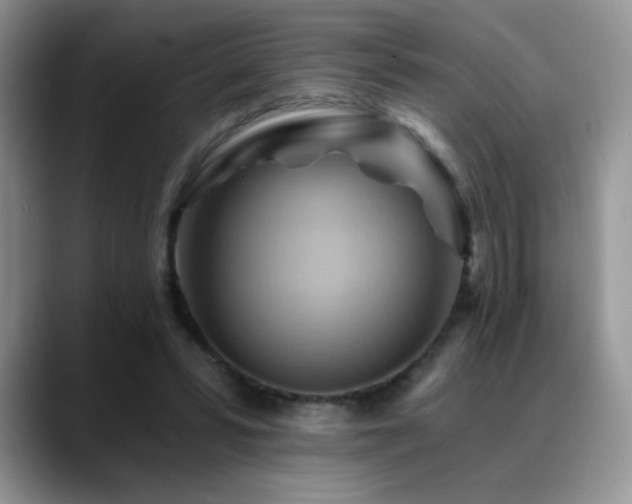 X0000088860399200706081156