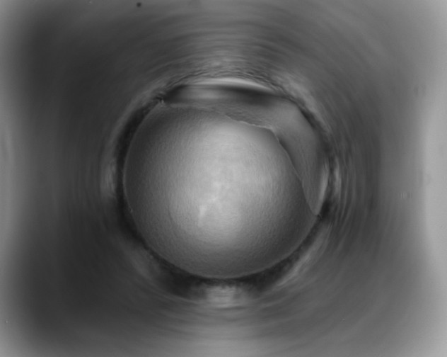 X0000088860400200706081156