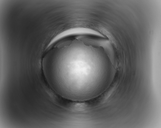 X0000088860401200706081156