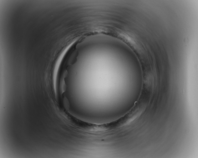 X0000088860402200706081156
