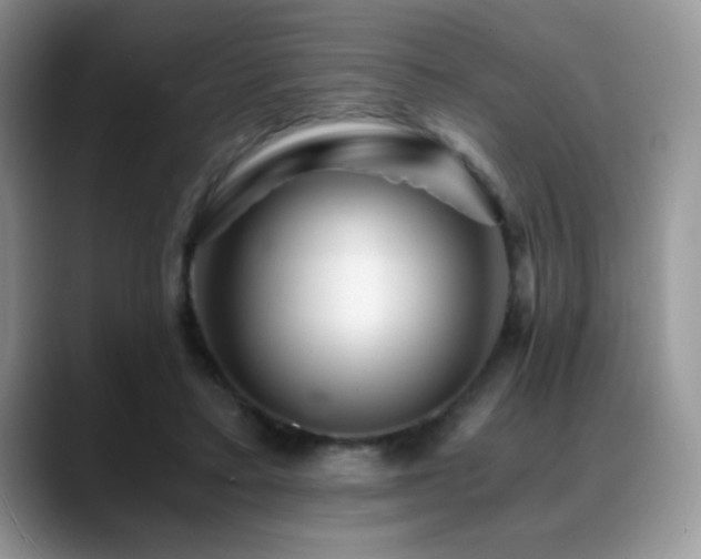 X0000088860403200706081156