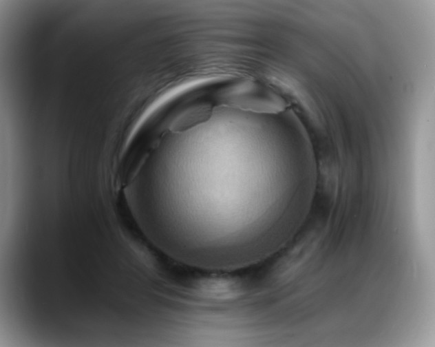 X0000088860404200706081156