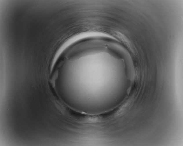 X0000088860405200706081156