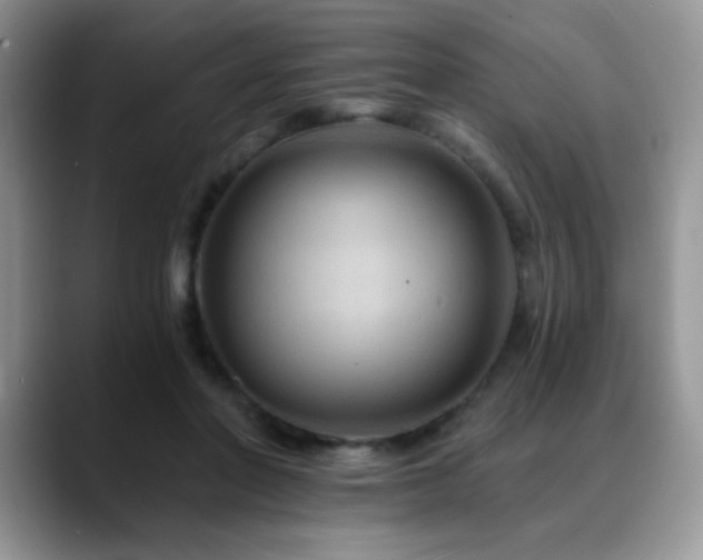 X0000088860406200706081156