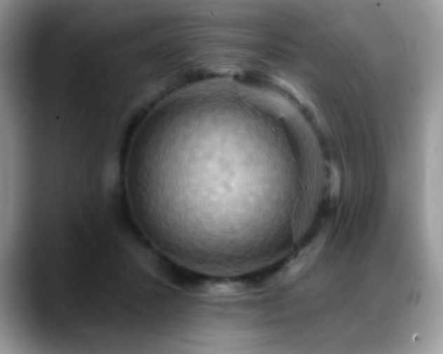 X0000088860407200706081156