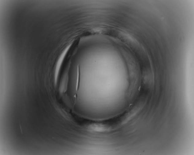 X0000088860408200706081156