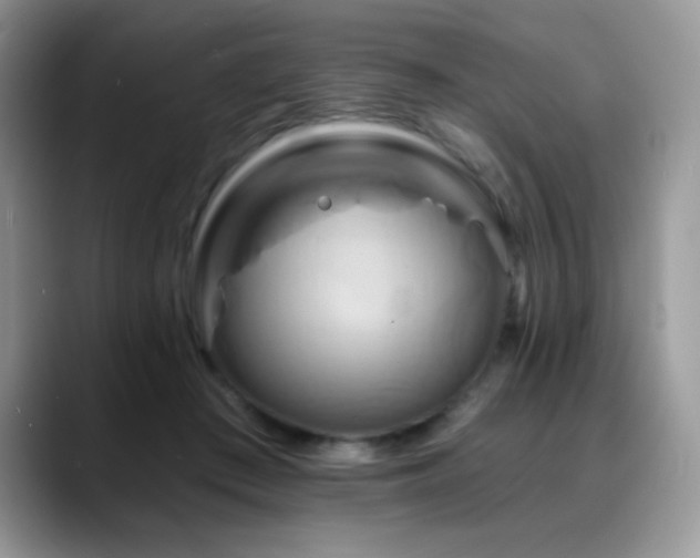 X0000088860409200706081156