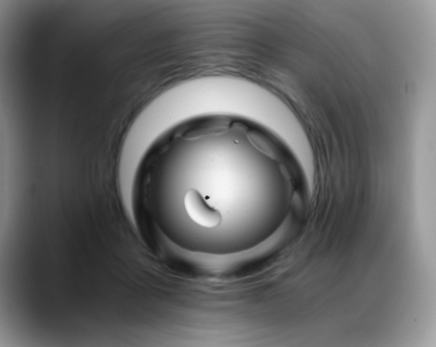 X0000088860411200706081156