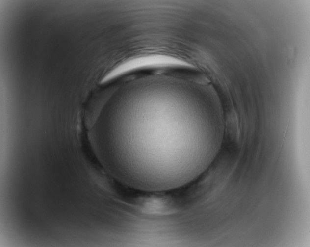 X0000088860412200706081156