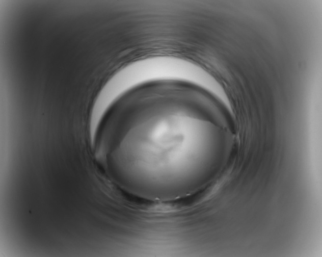 X0000088860413200706081156