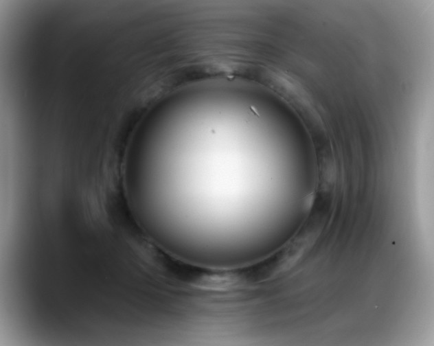 X0000088860414200706081156