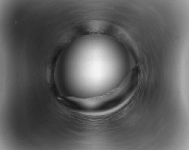 X0000088860416200706081156
