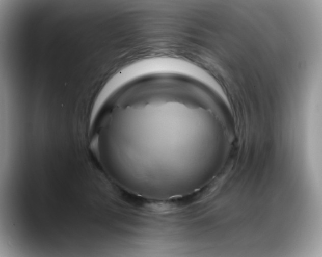 X0000088860417200706081156