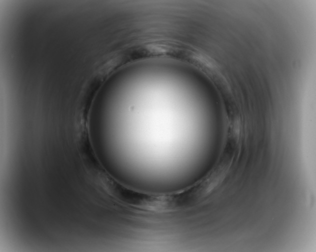 X0000088860418200706081156