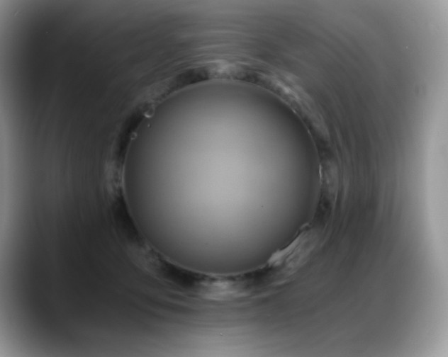 X0000088860419200706081156