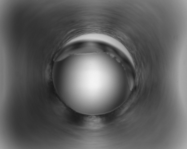 X0000088860421200706081156