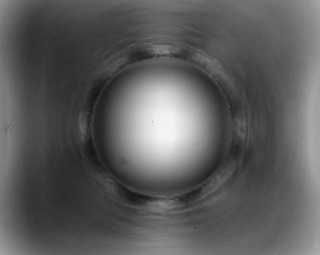 X0000088860422200706081156