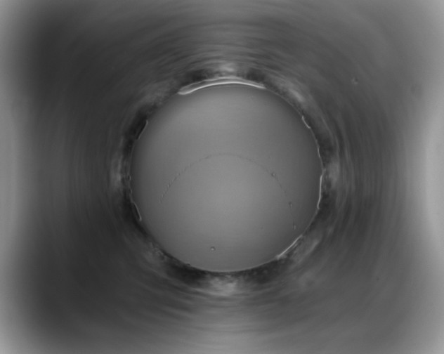 X0000088860423200706081156
