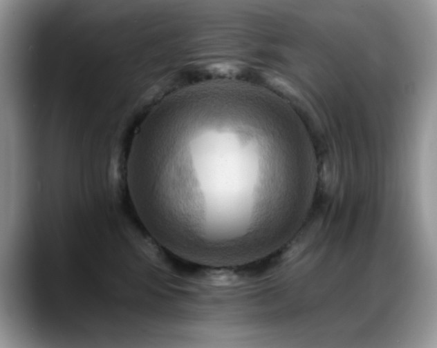 X0000088860424200706081156