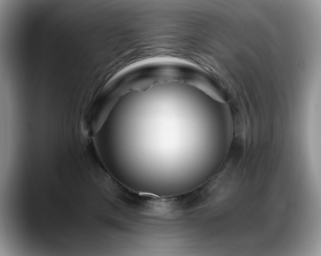 X0000088860425200706081156