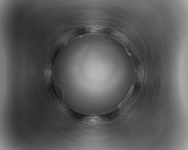 X0000088860427200706081156