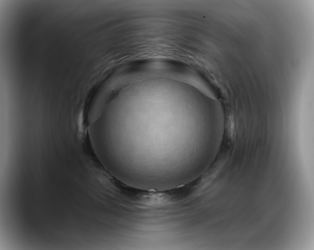 X0000088860428200706081156