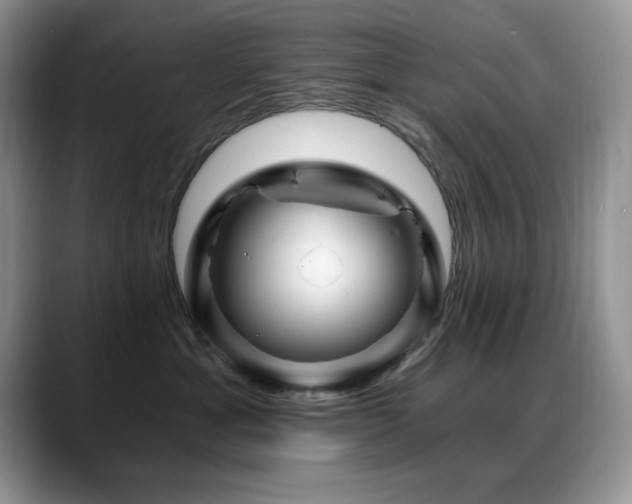 X0000088860429200706081156