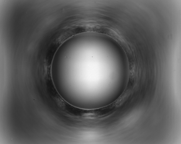 X0000088860430200706081156