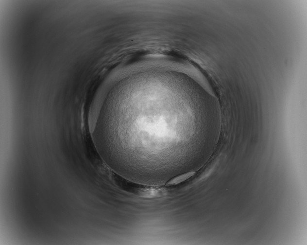 X0000088860432200706081156