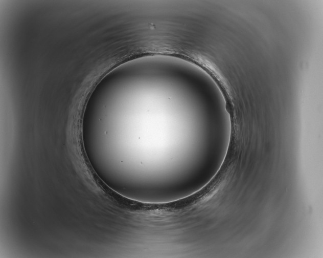 X0000088860433200706081155