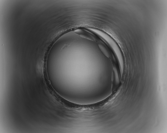 X0000088860434200706081155