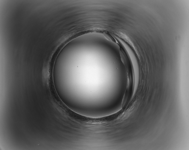 X0000088860435200706081155