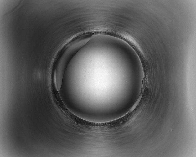 X0000088860436200706081155