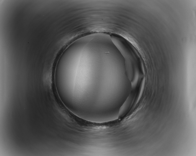 X0000088860438200706081155