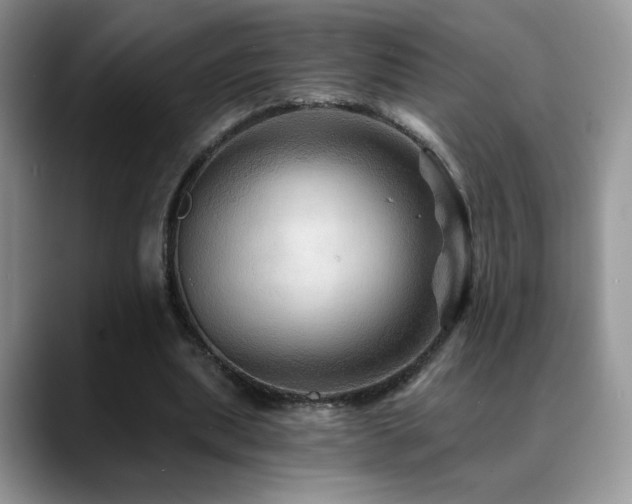 X0000088860439200706081155