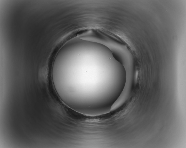 X0000088860440200706081155