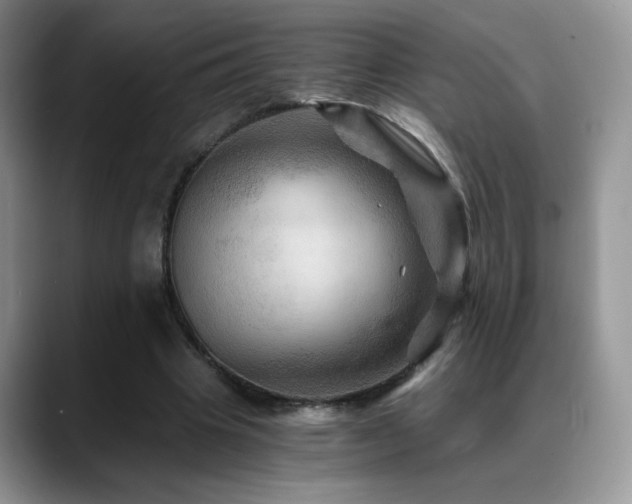 X0000088860441200706081155