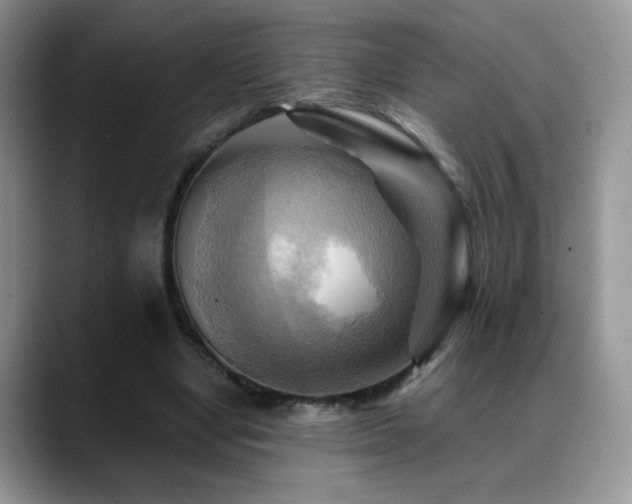 X0000088860442200706081155