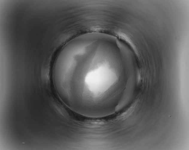 X0000088860443200706081156